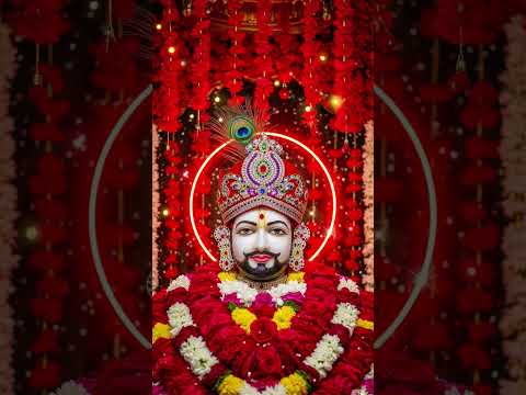 🙏 जय श्री खाटू श्याम ❤️ | हारे का सहारा बाबा श्याम | #Shorts