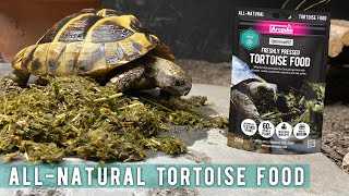 The Healthiest Tortoise Diet on the Market? Everything You Need To Know About Optimised52