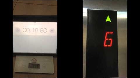 Performance Task Dynamics