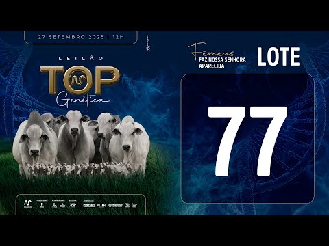 LOTE 77 FSM A2677