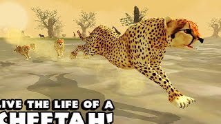 Cheetah Simulator - Симулятор гепарда на Android(Review) screenshot 1