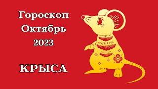 КРЫСА КИТАЙСКИЙ ГОРОСКОП на ОКТЯБРЬ 2023┃#крыса #китай #гороскоп #знак #зодиак #прогноз #октябрь