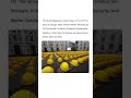 Yellow Helmets Protest in Milan💀
