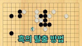 흑의 탈출 방법