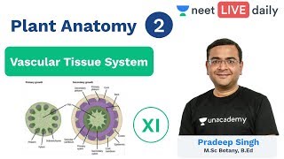 Neet Plant Anatomy L 2 Vascular Tissue System Biology Class 11 Unacademy Neet Pradeep Sir Youtube