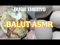 🔴ASMR Balut Duck Embryo EXOTIC DELICACY ep.17