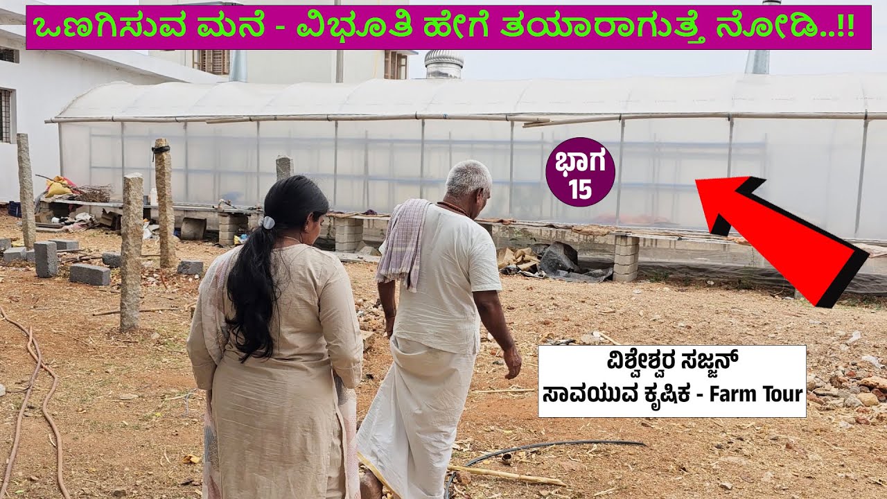 ಒಣಗಿಸುವ ಮನೆ - ವಿಭೂತಿ ಹೇಗೆ ತಯಾರಾಗುತ್ತೆ ನೋಡಿ..!! Vibhuti  vishweshwara sajjan organic farming tour15