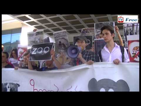 არასამთავრობო ორგანიზაცია \"ვეგან ჯორჯია\" ზოოპარკის გაუქმებას მოითხოვს