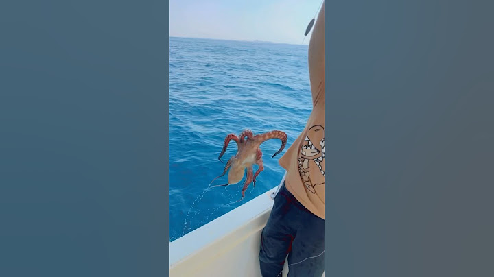 #fishing #fish #سمك #sharklife #اكسبلور #صيد #الصيد #بحر