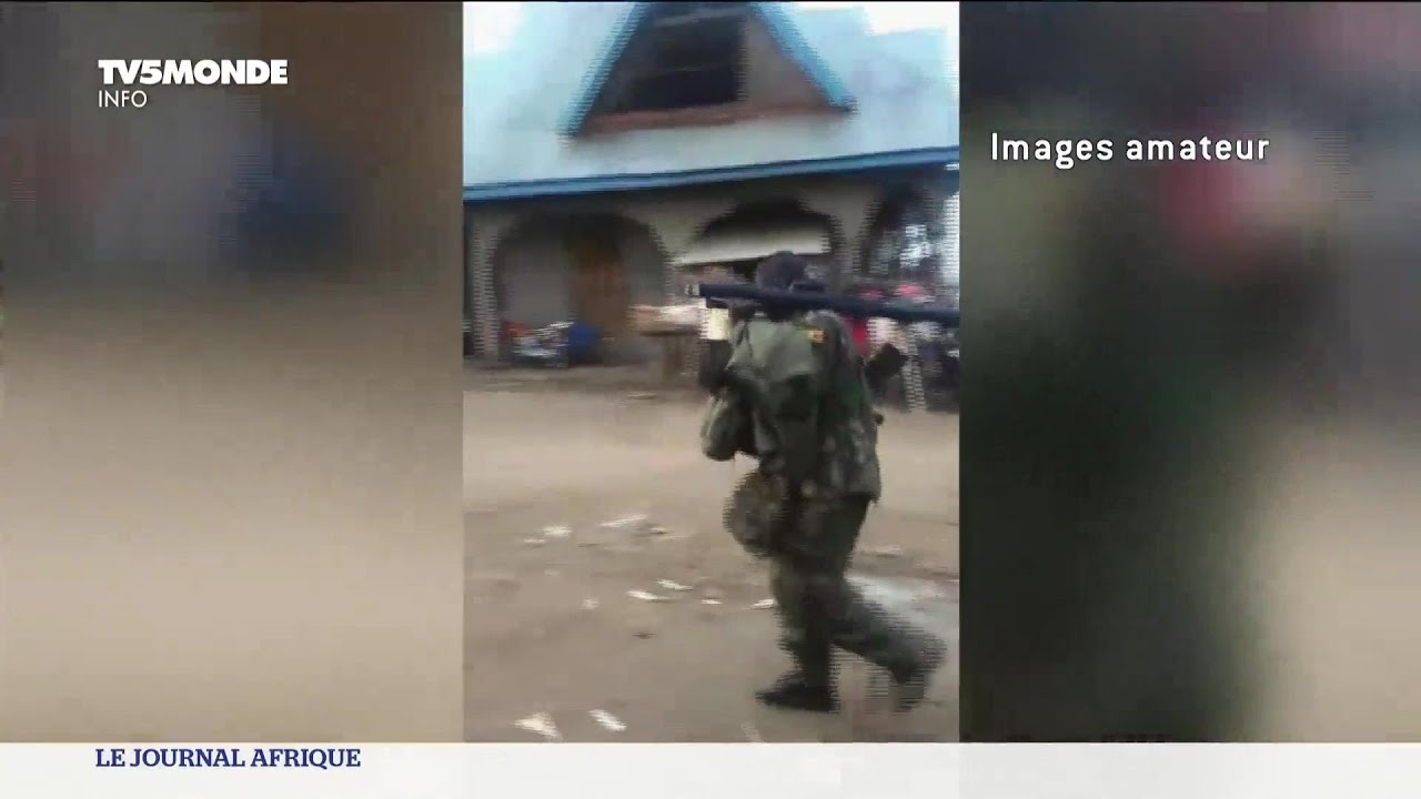 RDCongo : des militaires ougandais à l'assaut des ADF