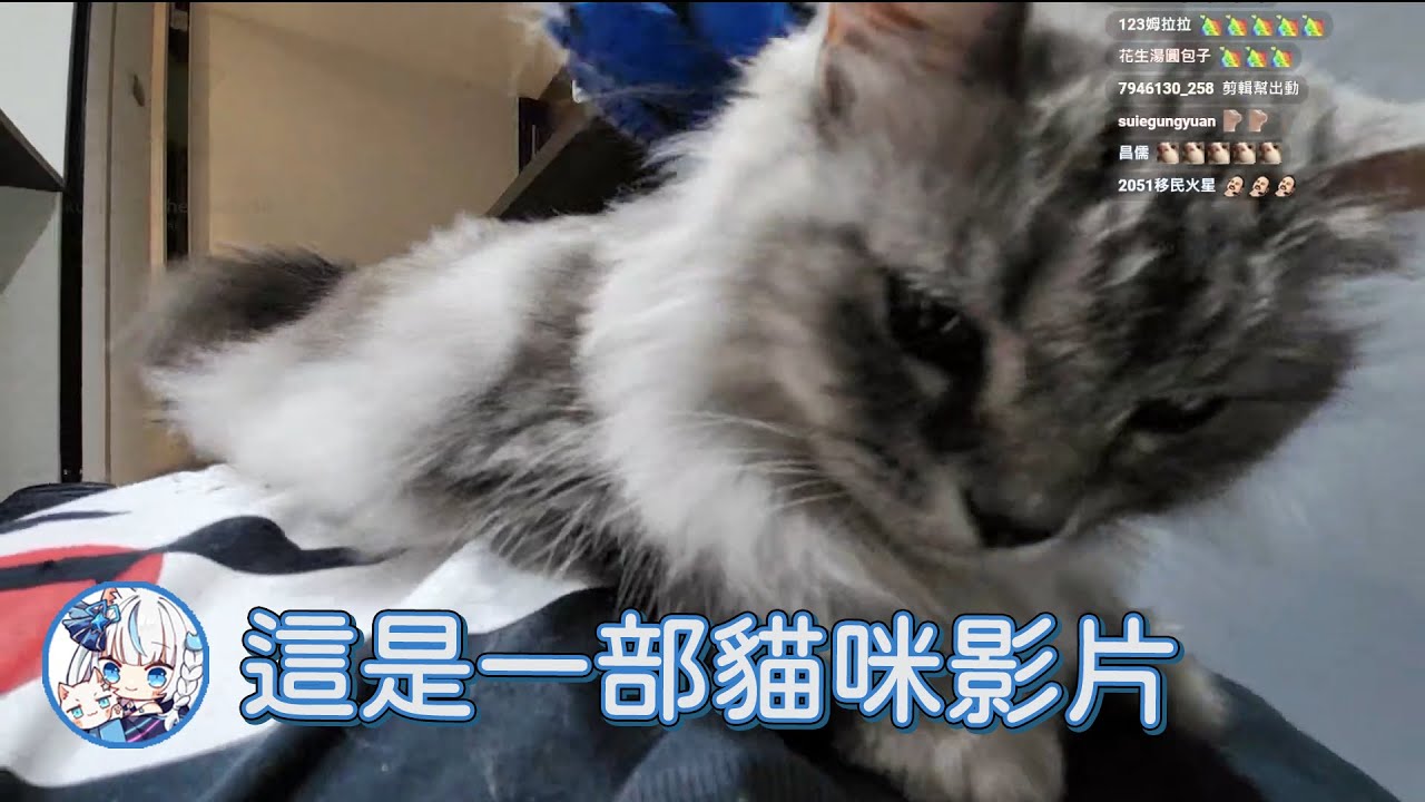 【Restia精華】謝謝Luna 【Restia 瑞斯帝亞 / Luna】