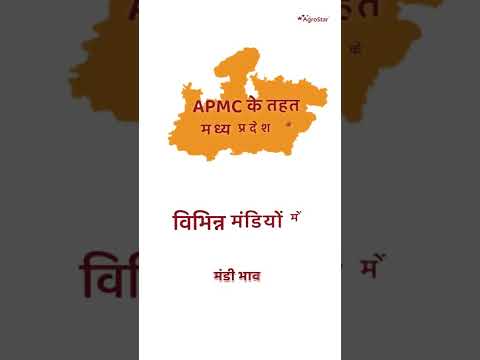 सोयाबीन के मंडी भाव में आया भारी बदलाव!  - सोयाबीन के मंडी भाव में आया भारी बदलाव! 