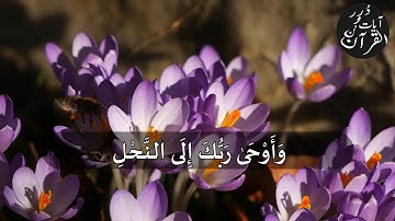 وأوحى ربك إلى النحل أن اتخذي من الجبال بيوتا | رعد الكردي ( سورة النحل )
