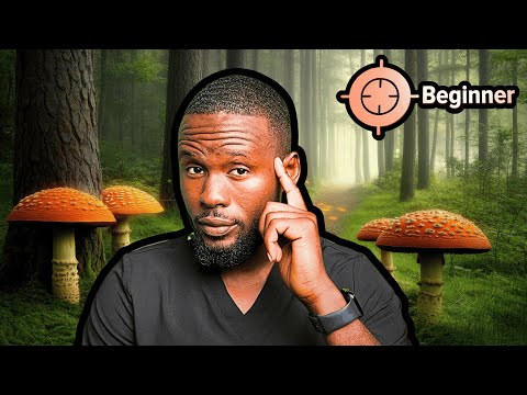 Psychiatrist breaks down Psilocybin Effects- under 15m