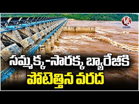 Huge Flood Inflow To Sammakka - Sarakka Barrage Due To North Floods | V6 News - V6NEWSTELUGU