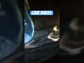 Cave divers￼￼