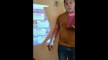 Proyecto Modular Informática I Universidad CNCI