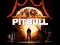 Pitbull feat. Afrojack and The Wanted - Have some Fun