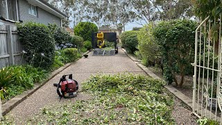 5 December 2020 - Garden cleanup with my Makita battery hedge trimmer and wood chipper