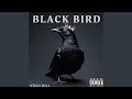 Black Bird mp3