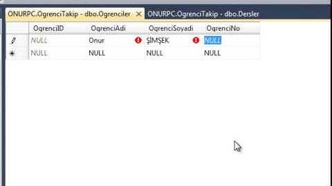 Entity Framework bölüm 3 MSSQL