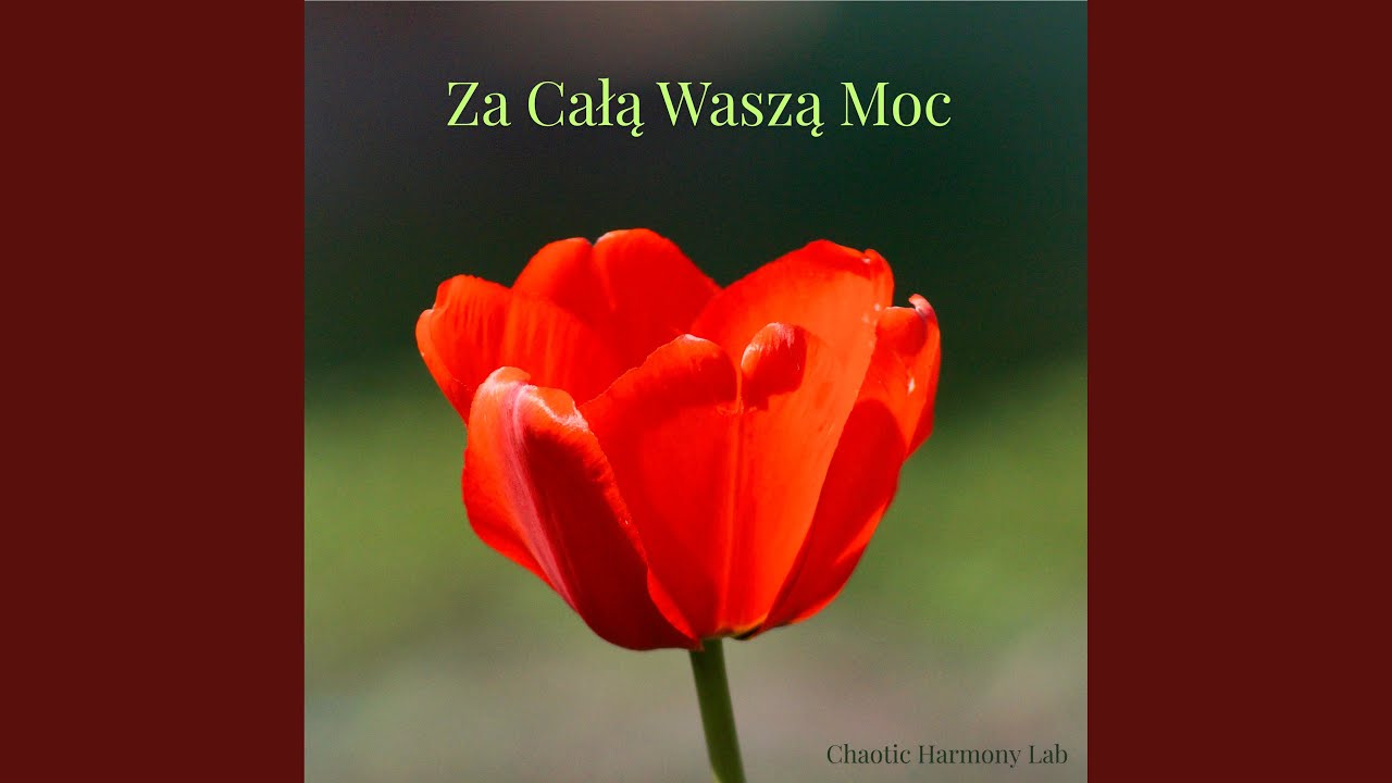 Za Całą Waszą Moc (Dzień Kobiet)