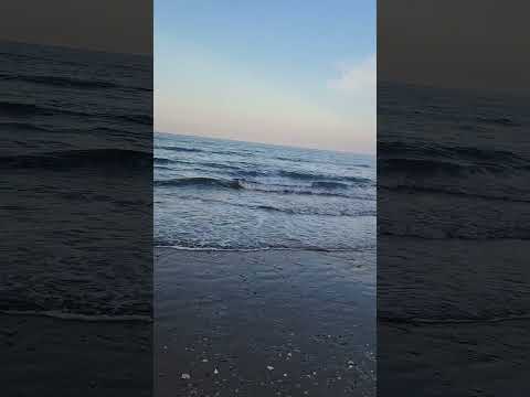 اغاني متنوعة هاني شاكر عيونك هما أصحابي وعمري وكل أحبابيعيونك هما أصحابي وعمري وكل