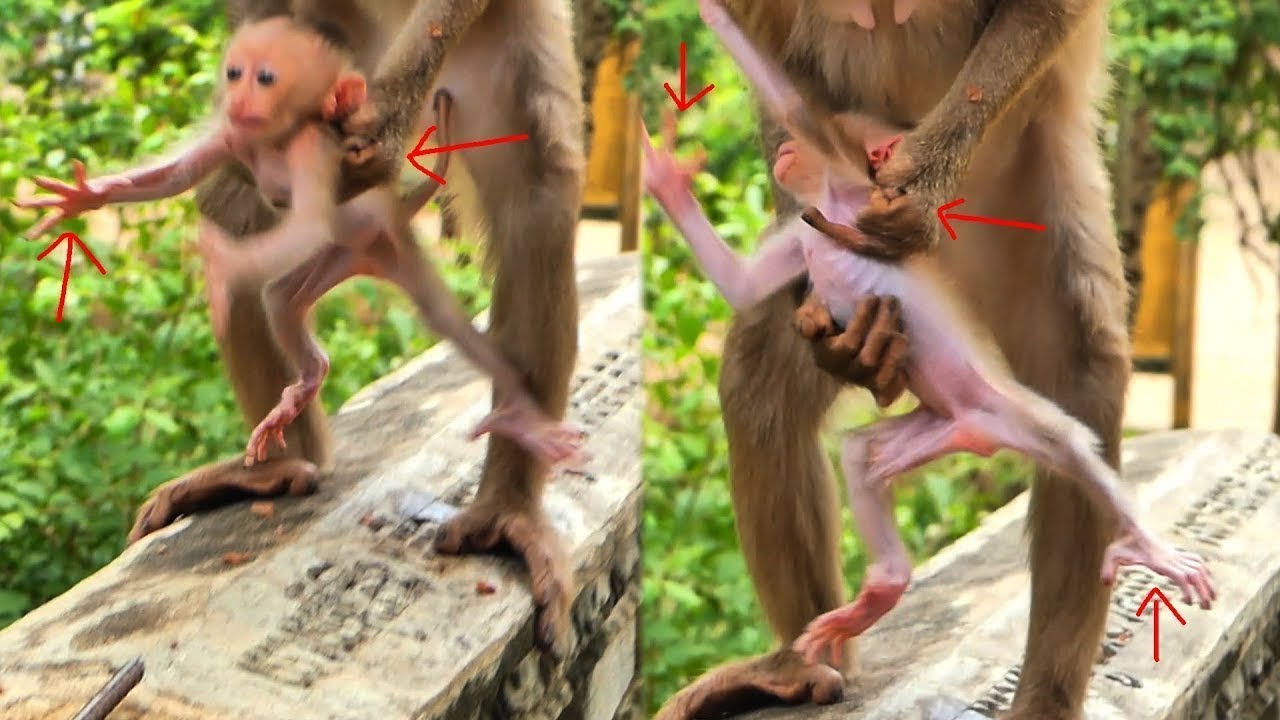 Oh no baby Luna feeling not happy when Mom Lura start hugging Catch up