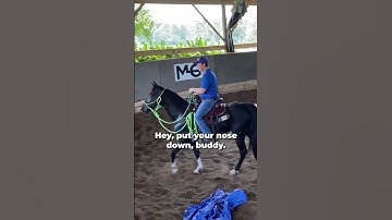 Quick Tips To Gain Confidence With Your Horse!  | The Horse Guru-Michael Gascon