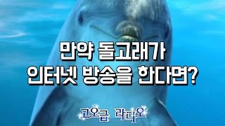 [옥냥이 일상] 만약 돌고래가 인터넷 방송을 한다면? (RoofTopCAT Luxury Life) screenshot 3