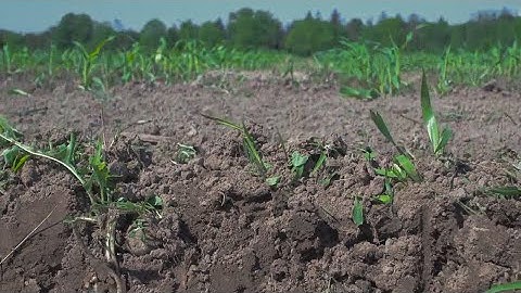 Soil Fingerprinting: New Tool for Soil Analysis