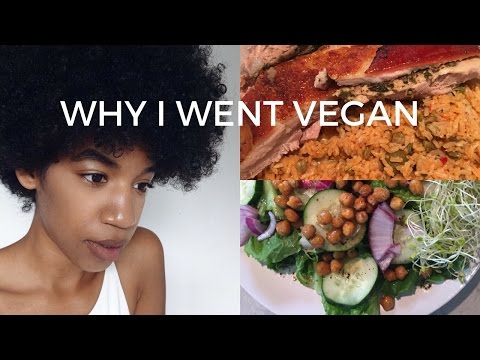 why-i-went-vegan-|-black-&-latina-|-twodollarsricher