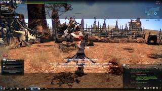 Funny Moments In Vindictus - What A Lann Player Sounds Like.
