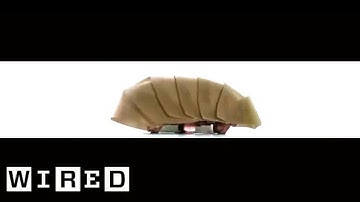 This Robo-Roach Might Someday Save Lives