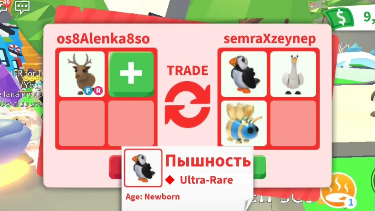 Elvebredd валюты адопт ми. Фр тукан в адопт ми. Персонаж адопт референс. Адопт ми трейд. Нфр кенгуру адопт ми роблокс.