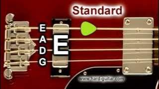 Bass Guitar Tuner - E Standard Tuning (E A D G) 4 Strings