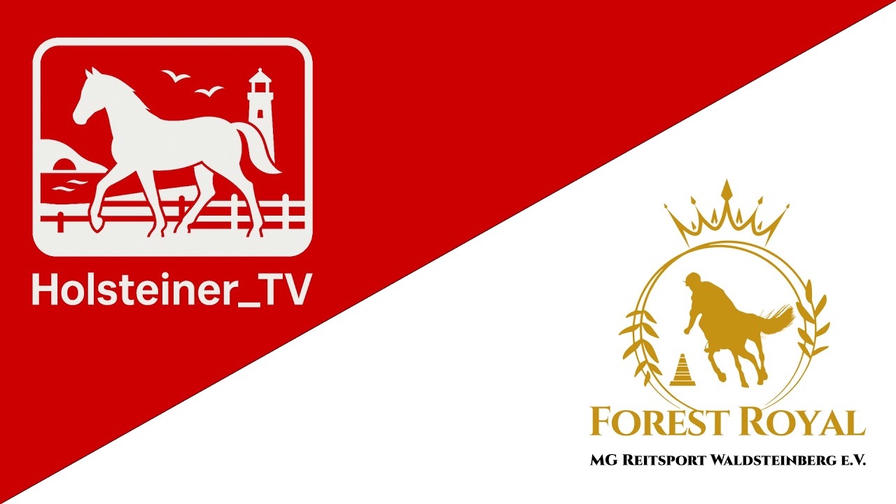 Deutsche Einzelmeisterschaft Mounted-Games 2026 | MG Reitsport Waldsteinberg e. V.