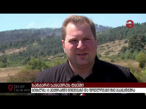 სოფელ საყავრესთან ხანძარი ლოკალიზებულია