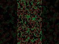 Predator vs Prey — Territorial Warfare #Shorts