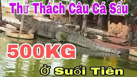 Thử Thách Câu Cá Sấu Khổng Lồ nặng 500kg tại Khu Du Lịch Suối Tiên | Bee Pham Vlog