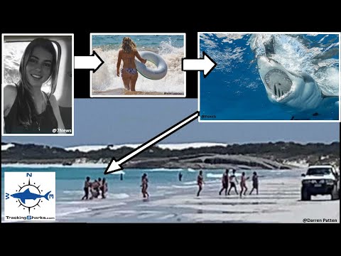 2022 Shark Attack: Float riding woman bitten by white shark?