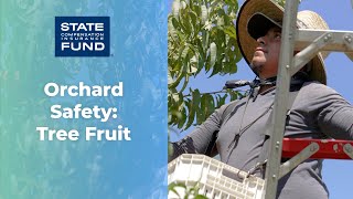 Orchard Safety - Tree Fruit