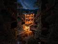 They Built a Luxury Cabin at the TOP of a 100-Year-Old Tree 😱 #shorts