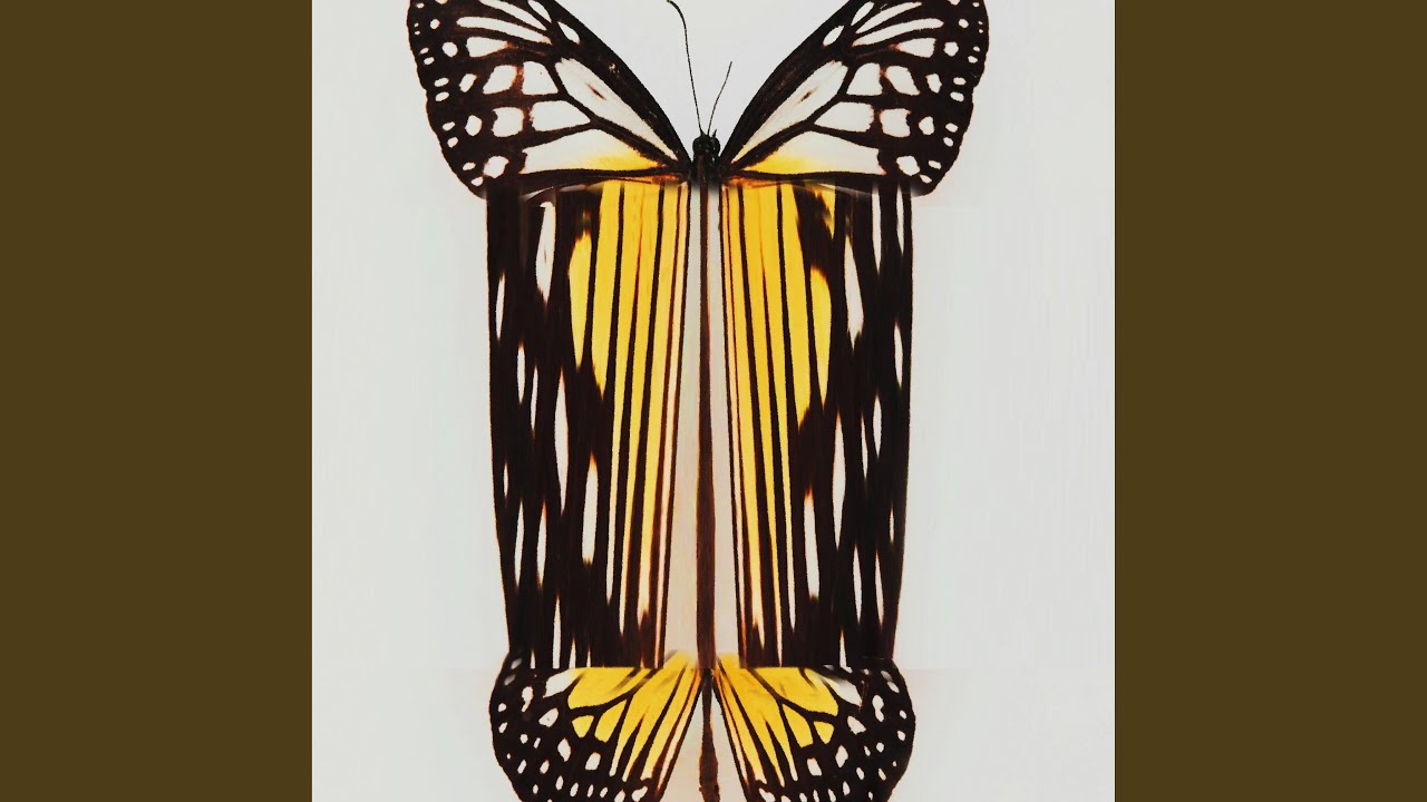 Butterfly (feat. Benji. & My Favorite Color)