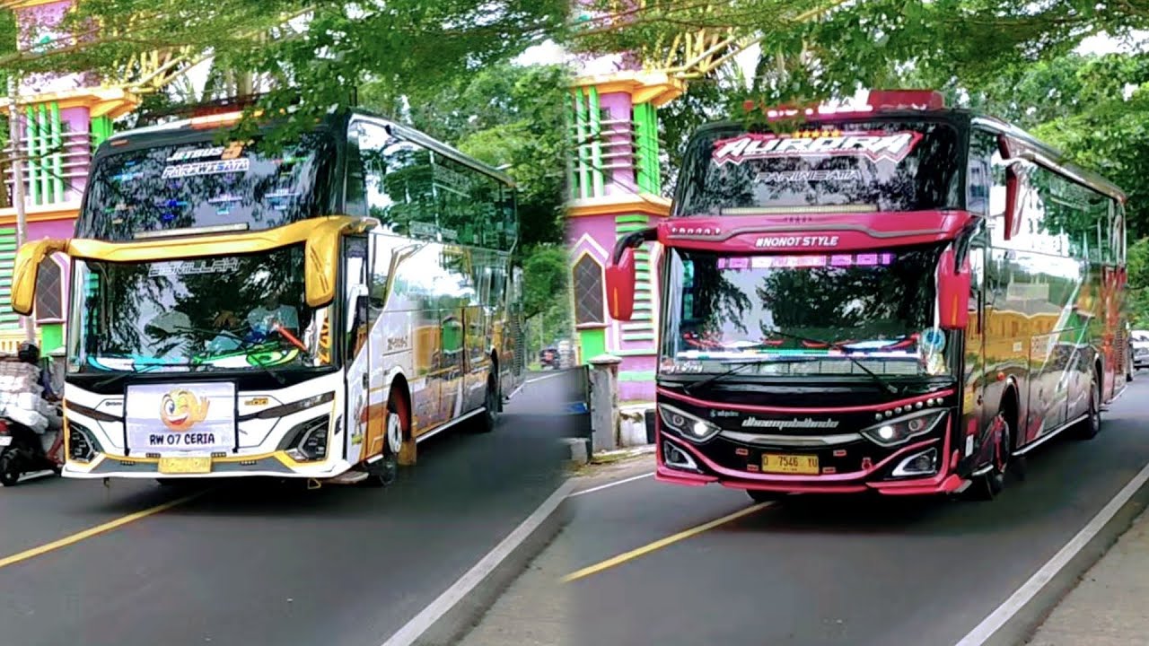 10 MENIT FULL TELOLET BASURI‼️KEREN SEMUA CUYY‼️