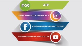 Atp Kısa Kısa