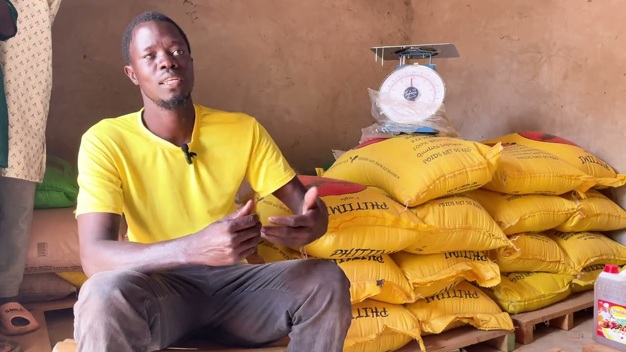 Les banques de céréales : PCR - SAT