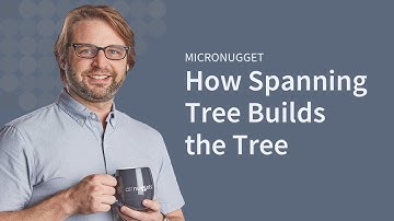 How Spanning Tree Builds the Tree