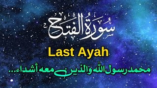 Last Ayah | Surah Al Fath | Muhammadur rasoolullah| Ayat 29 | تلاوة القرآن المجيد