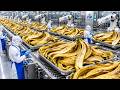 Inside Factory Process: How Banana Peel Waste Is Turned Into Organic Fertiliser | World Wide Waste